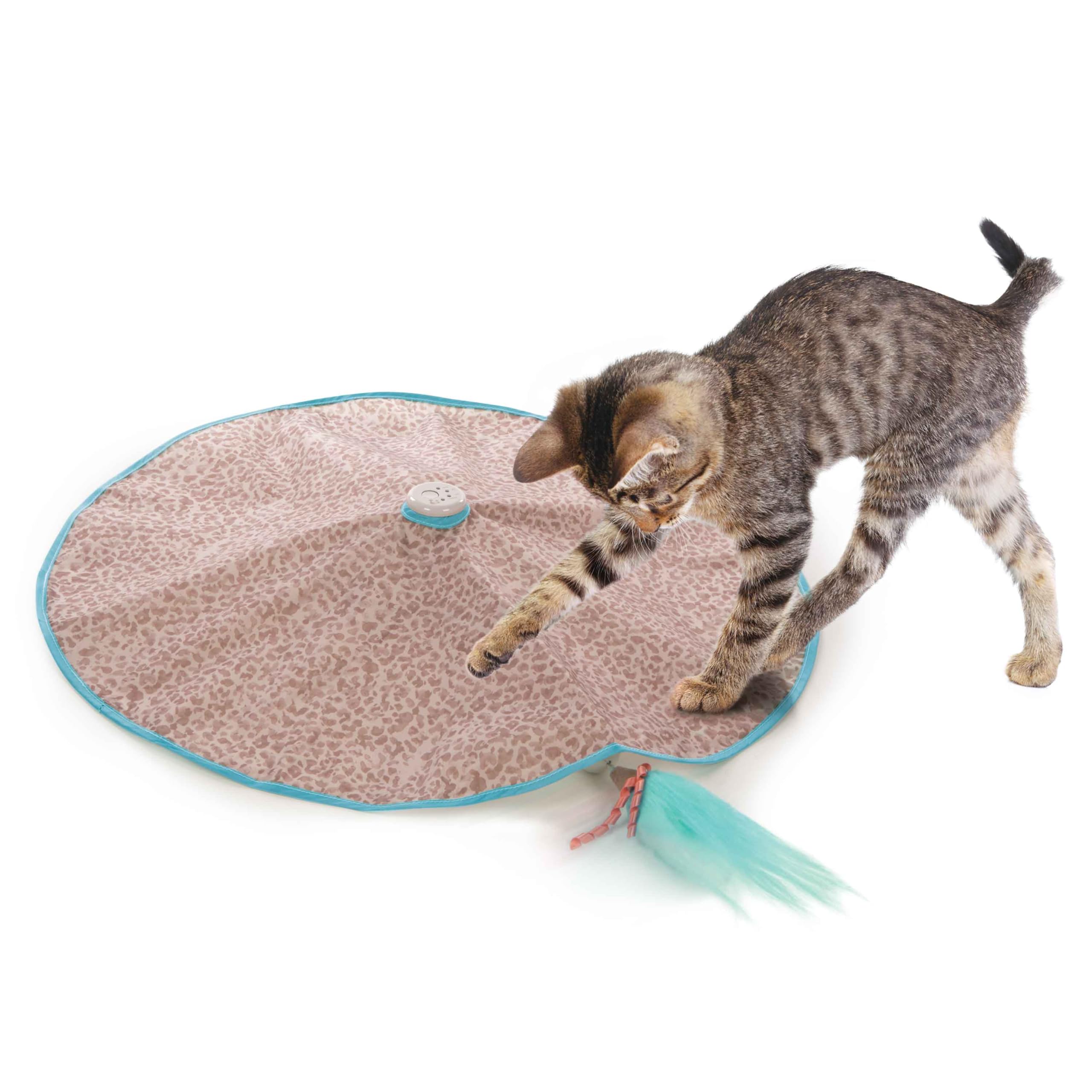 Amazon.com: SmartyKat Hidden Hijinks Toy for Indoor Cats & Kittens