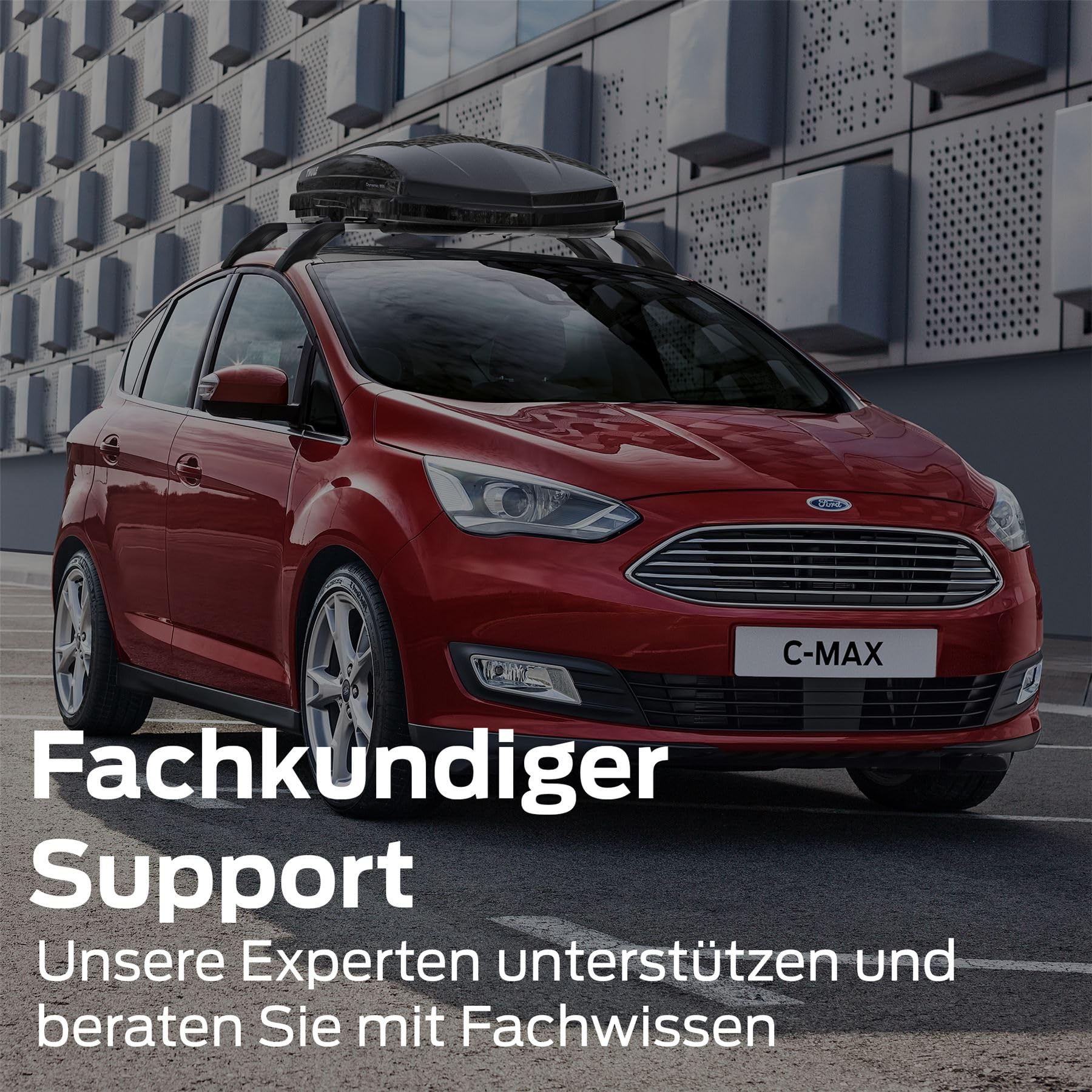 Ford Original Transit/Tourneo Custom ab 2023 Zurrösen 10-teilig blau 2668123