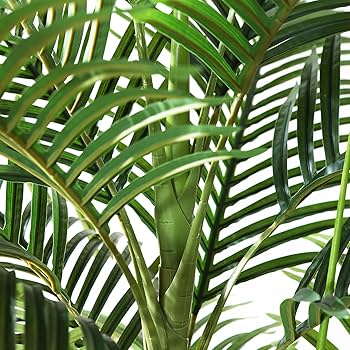 Amazon｜MOSADE ヤシの木 プレミアム 光触媒 フェイクグリーン ※鉢は