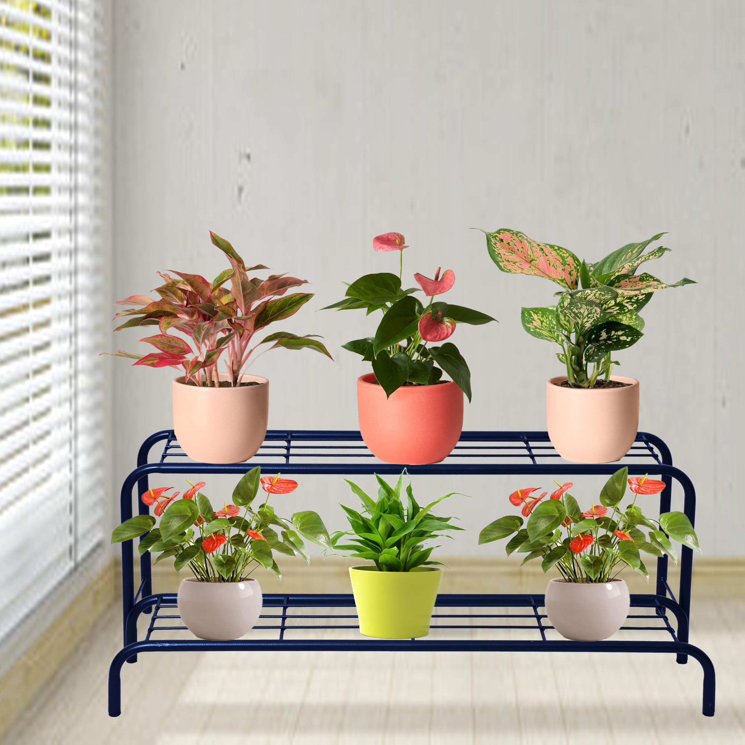 D&V Engineering Metal Indoor Outdoor Planter Stand, Flower Pot Rack for Home Garden Balcony Black, 2 Tier Shelf, No Assembly Required. (B09PMKN8GG) Amazon Price History, Amazon Price Tracker