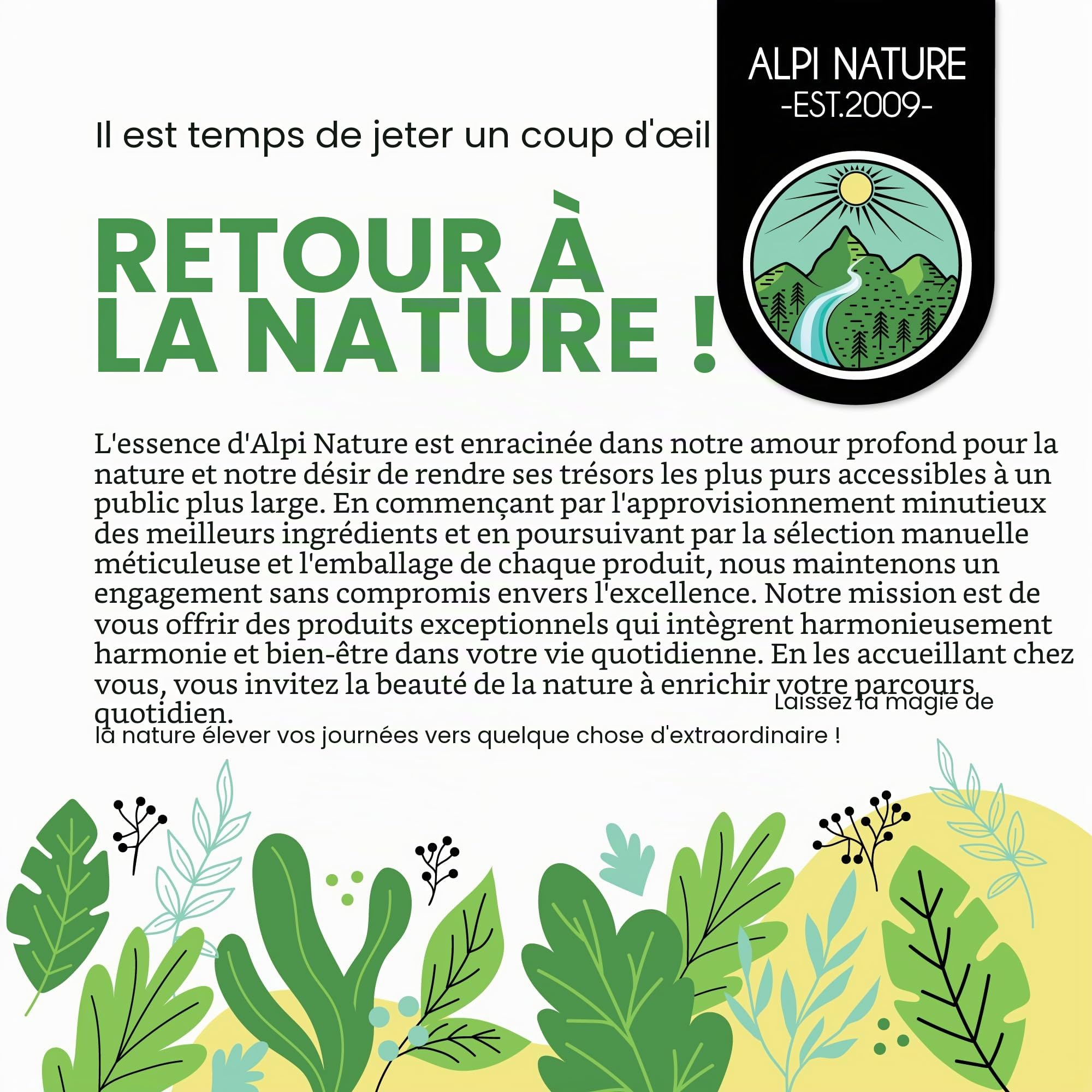 Alpi Nature Piment de la Jamaïque Moulu BIO 500g, Baies de Piment de la Jamaïque Moulues pour la Cuisine et la Pâtisserie