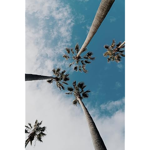Summit Designs Palm Trees Sky Wall Art Print 11x14 - Tropical Clouds Blue Sky Photography - Unframed Beach Paradise Boho Minimalist Coastal Florida Hawaii California Decor