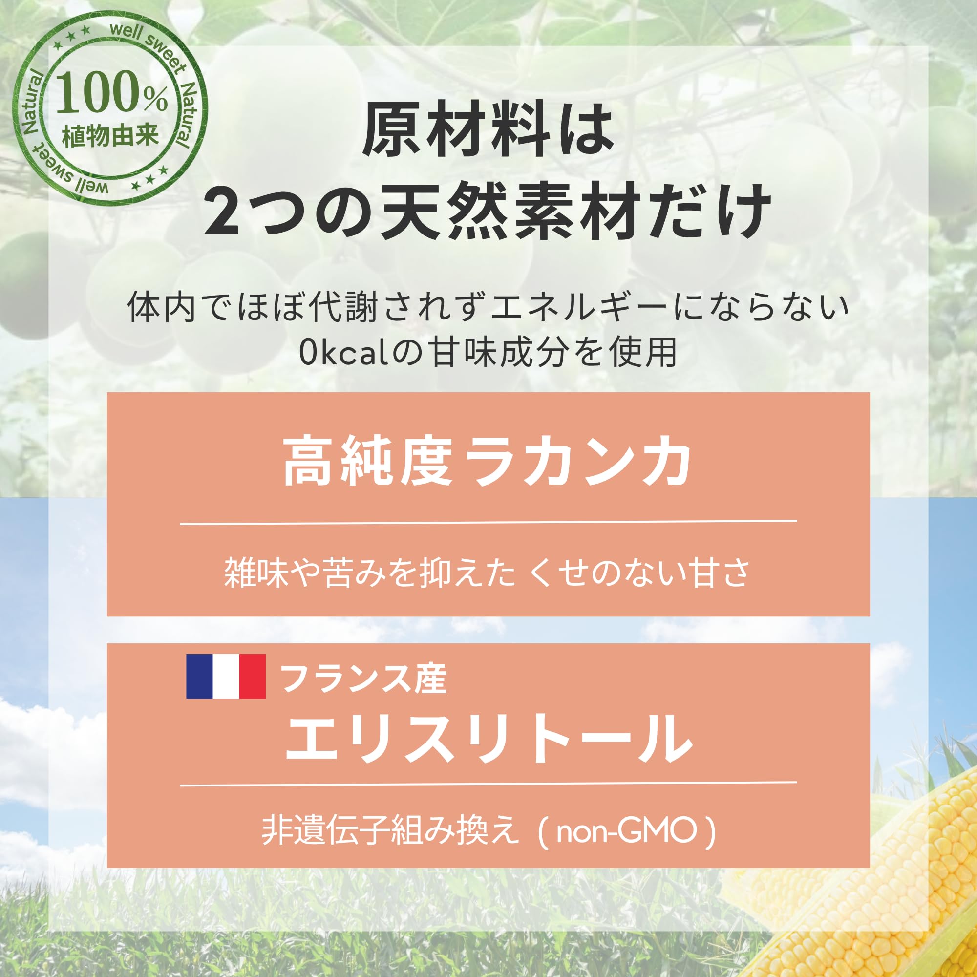 Amazon.co.jp: ウェルスイート ラカンカ 羅漢果 150g【 砂糖 置き換え