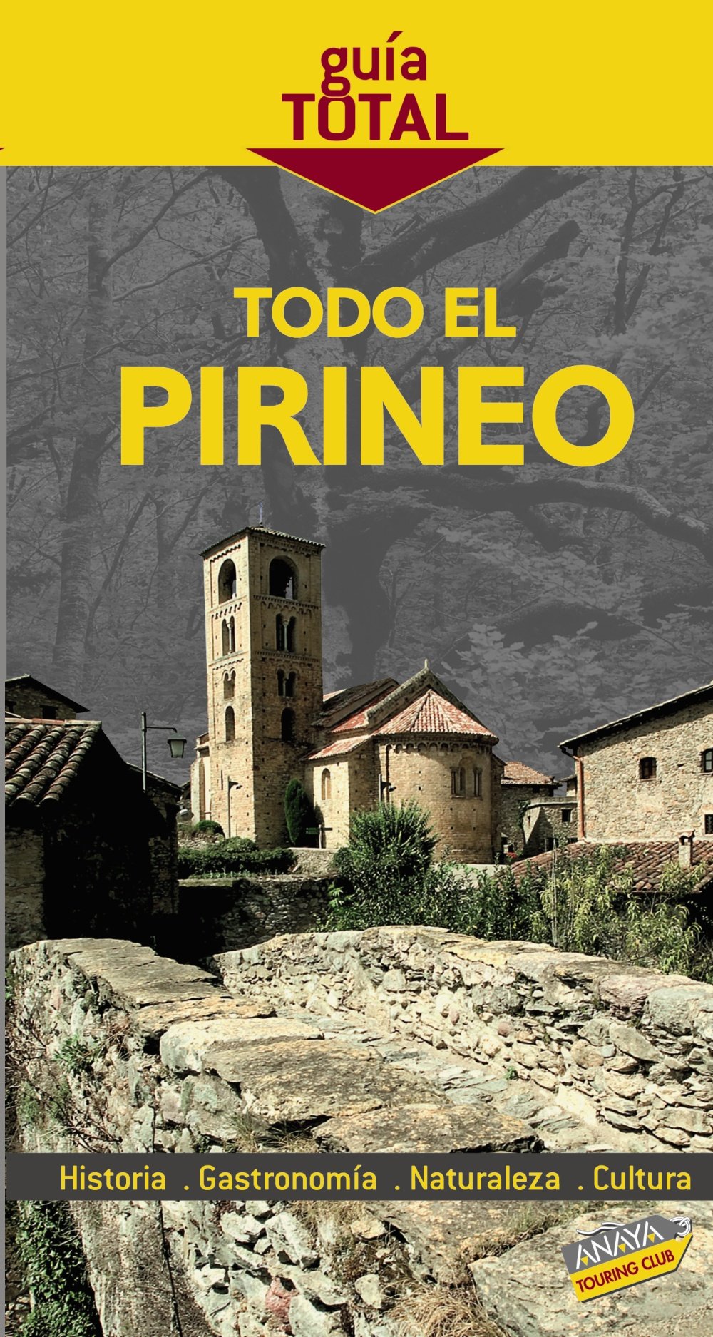 Todo el Pirineo (Guía Total - España)