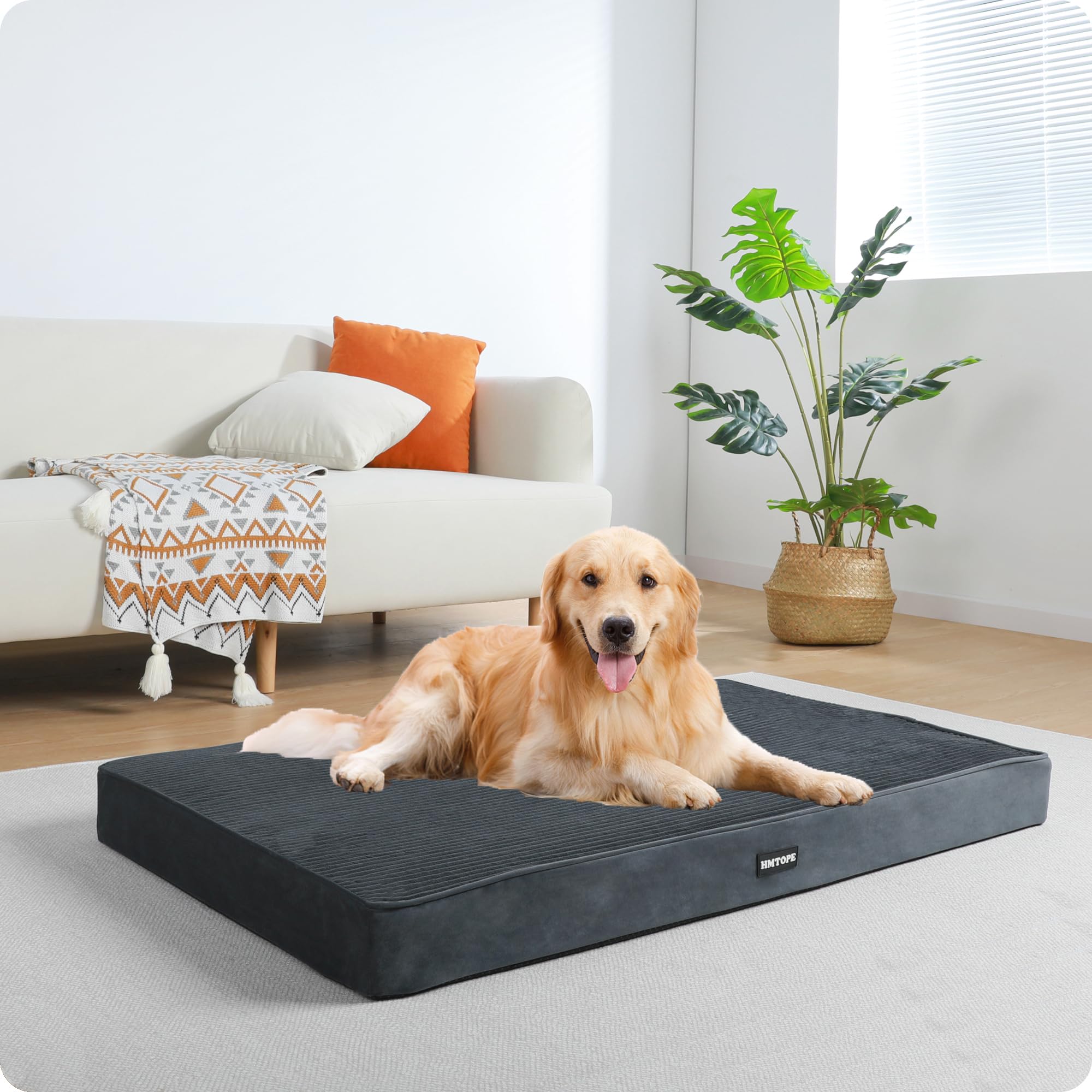 HMTOPE Orthopädisches Hundebett, 10cm Dicke Hundekissen für Mittelgroße Hunde, Grosse Hunde, Abnehmbar und Waschbar Hundematte, rutschfeste Unterseite, Wasserdichtes Innenfutter, 112 cm, Dunkelgrau