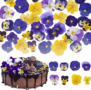 50 Pcs 8 Kinds Natural Dried Pressed Edible Flowers for Cake Topper Decorating - Mix Viola Tricolor for Cupcake Toppers, Flores tibles Para Pastel, Cocktails, Resin Jewelry Making, DIY Art Crafts