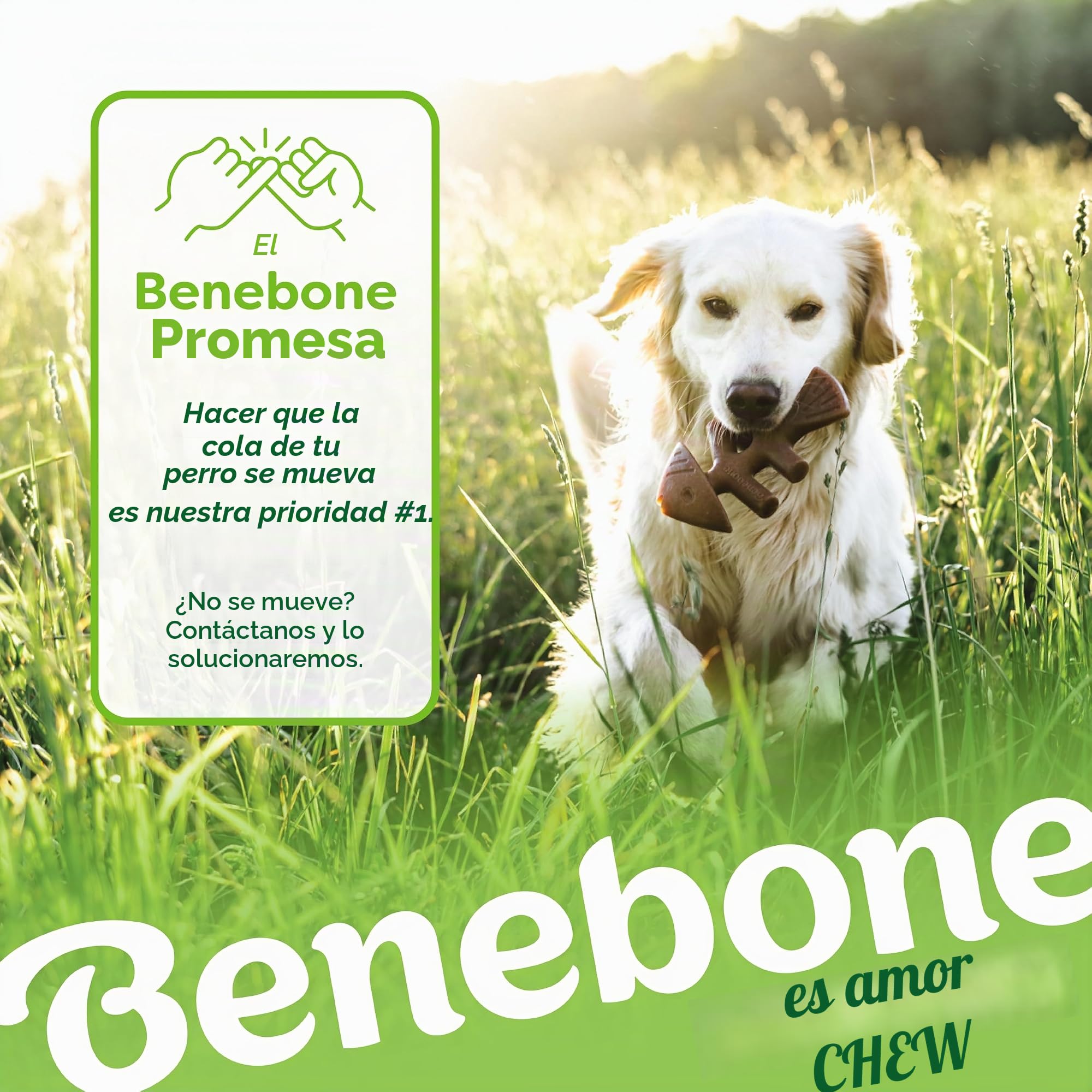 Benebone Caja de Juguetes masticables Duradera para Perros para masticadores agresivos con Hueso de Deseo, Espina de Pescado, Palo y zaggler, Mediano