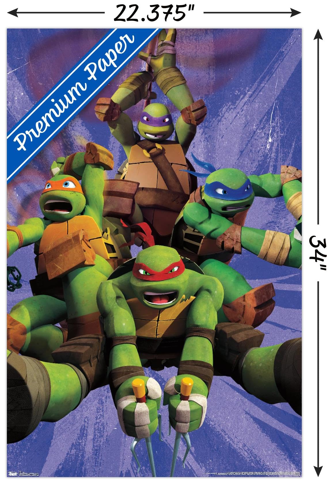 Amazon.co.jp: トレンド国際Teenage Mutant Ninja Turtlesチーム
