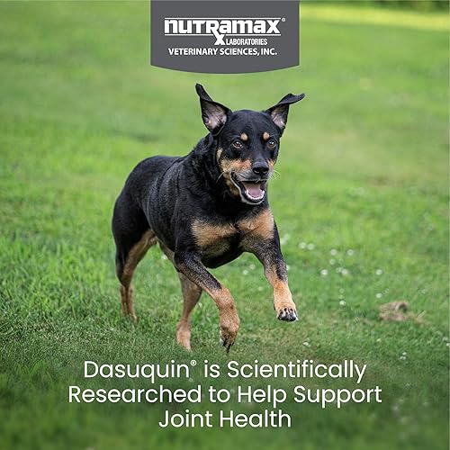 Miniatura 2 de Tabletas para perros Nutramax Dusaquin, 150 unidades