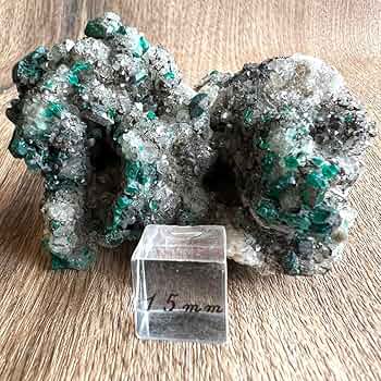Amazon.co.jp: サービス ダイオプテーズ 水晶 共生 鉱物 標本