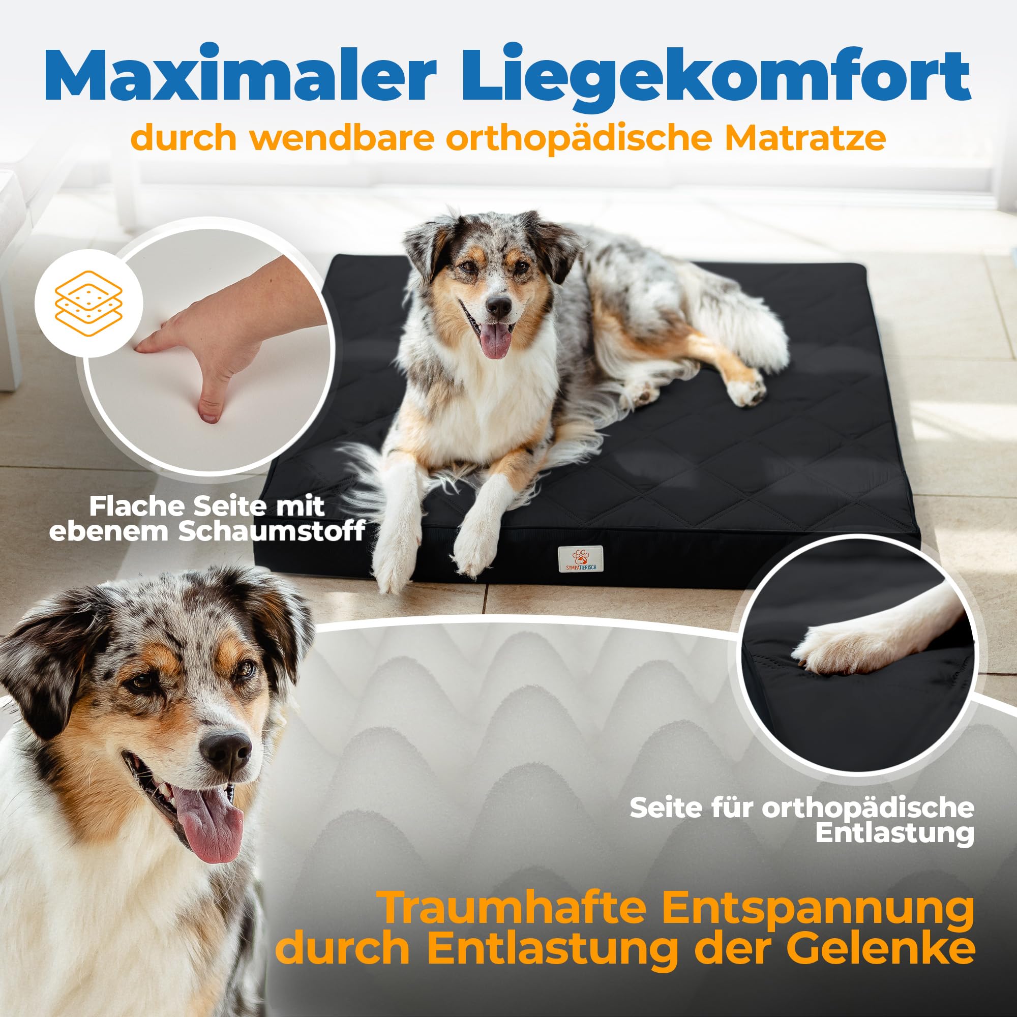 Lit orthopédique pour chien imperméable - Le nouveau tapis préféré de votre nez en fourrure - Coussin antidérapant pour chien - Panier pour chien - Housse lavable - Pour petits à grands chiens - 90 x