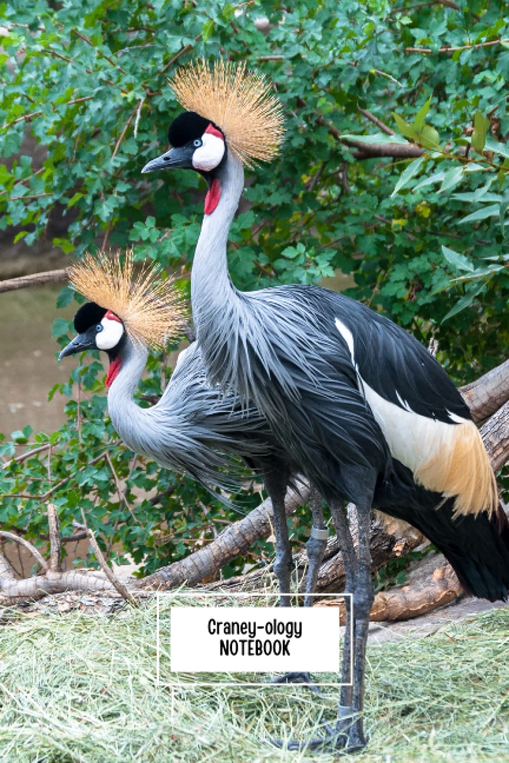 Craney-ology Notebook: An amazing journal/notebook gift for crane lovers, bird watchers, craniologists, doctors, construction workers, students and lovers of puns Paperback