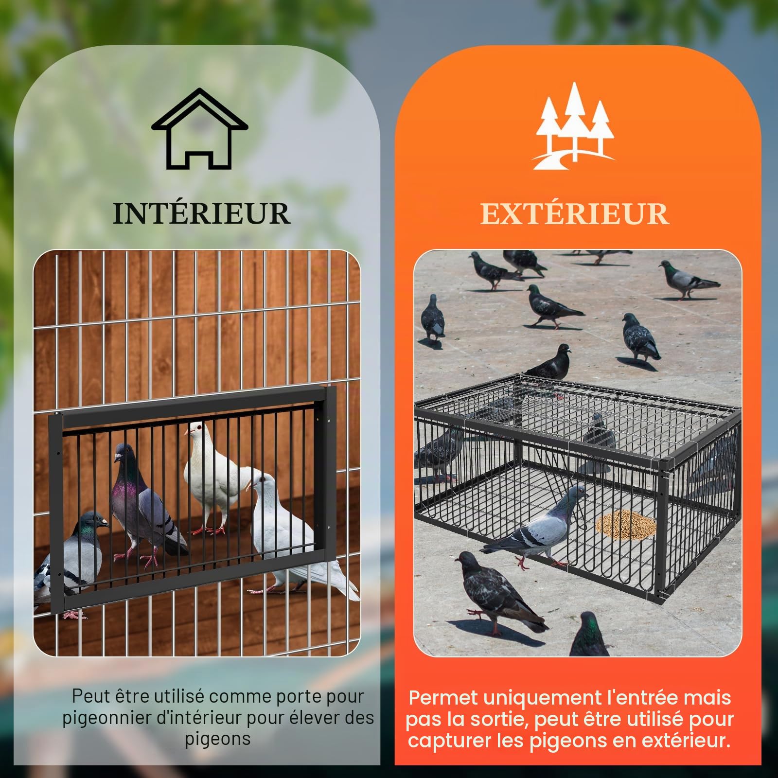 Cage à pigeons, 60 cm, pour la collecte des pigeons, pigeons voyageurs, pigeons à viande, cailles, noir