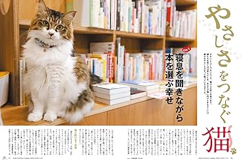 新品未開封 猫企画 DVD NyAERA (ニャエラ) 2025 (AERA増刊) | AERA編集部 |本 | 通販
