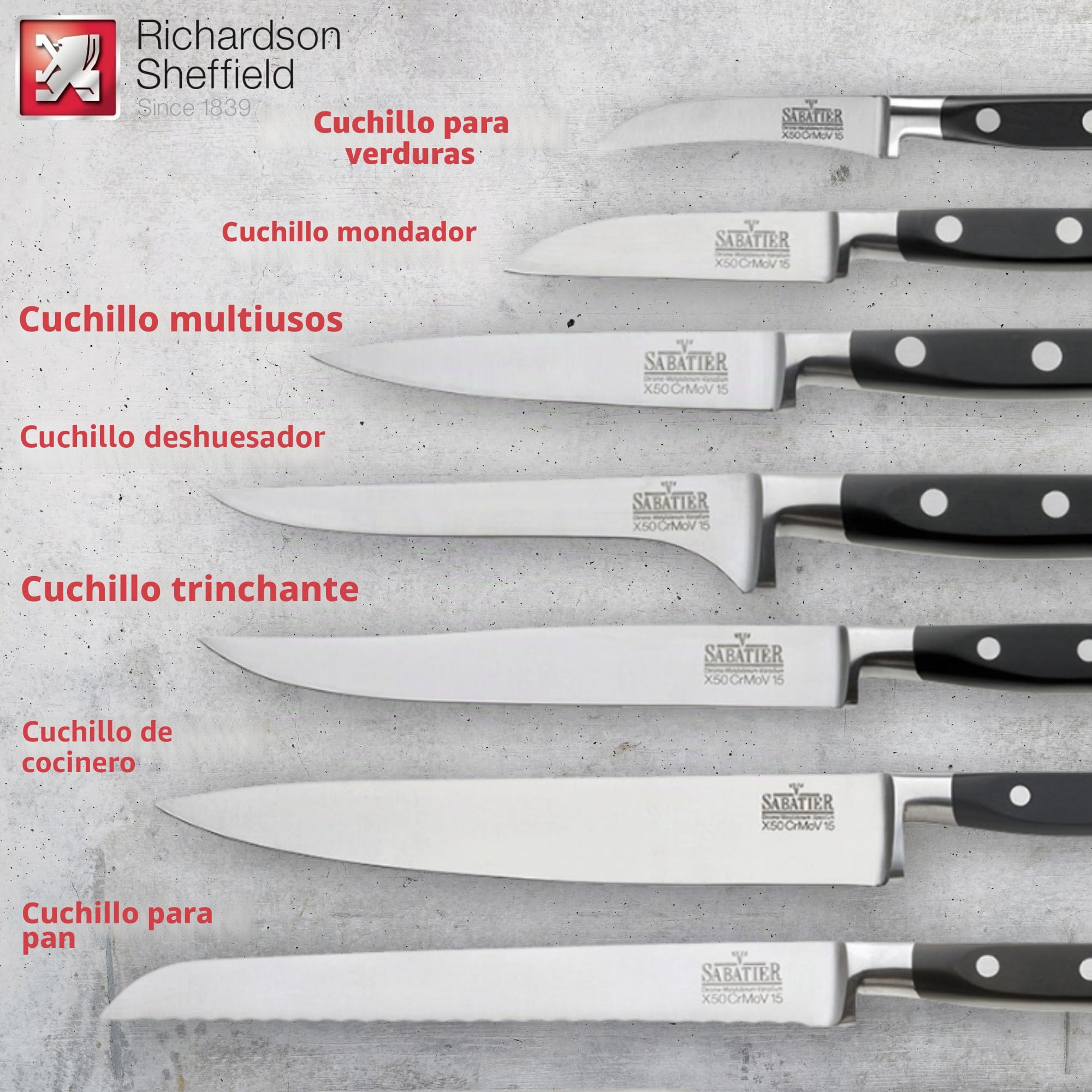 RICHARDSON SHEFFIELD V SABATIER Bloque Juego Verduras, deshuesar, Cuchillo de Chef, Tenedor de trinchar, Afilado, etc Plástico Cromo-molibdeno-vanadio, Madera Acero Inoxidable, Multicolor, talla única