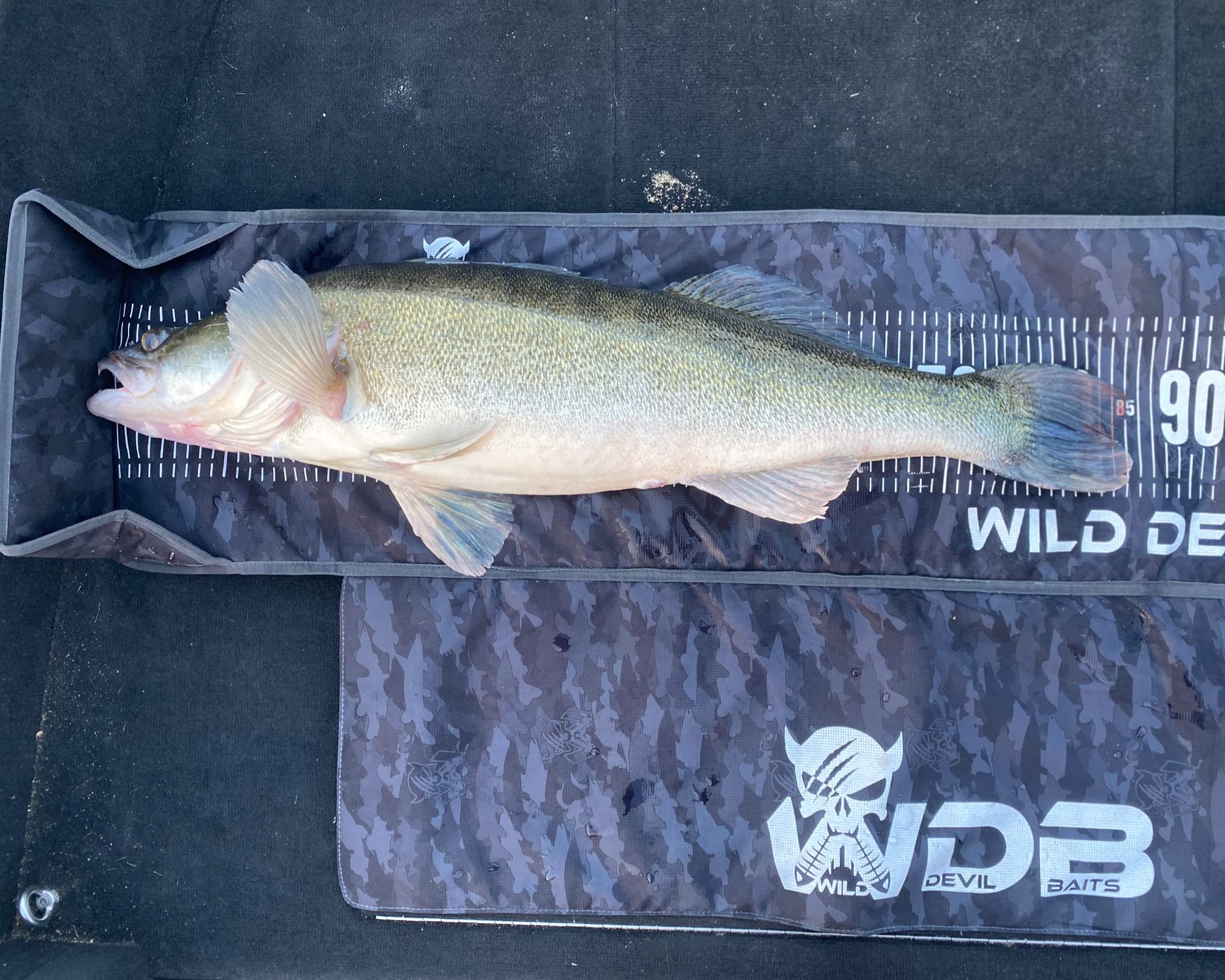 Angel-Berger Wild Devil Baits Camo Measure Mat 130cm Abhakmatte mit Maßband Predatory Fish