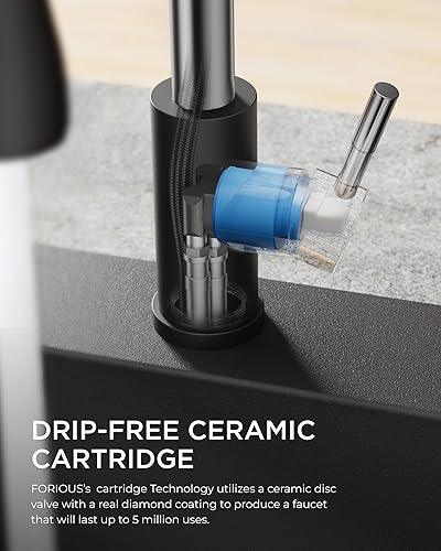 Vista 110 de FORIOUS - Llave de fregadero de acero inoxidable para cocina B07Y4Y88Y6