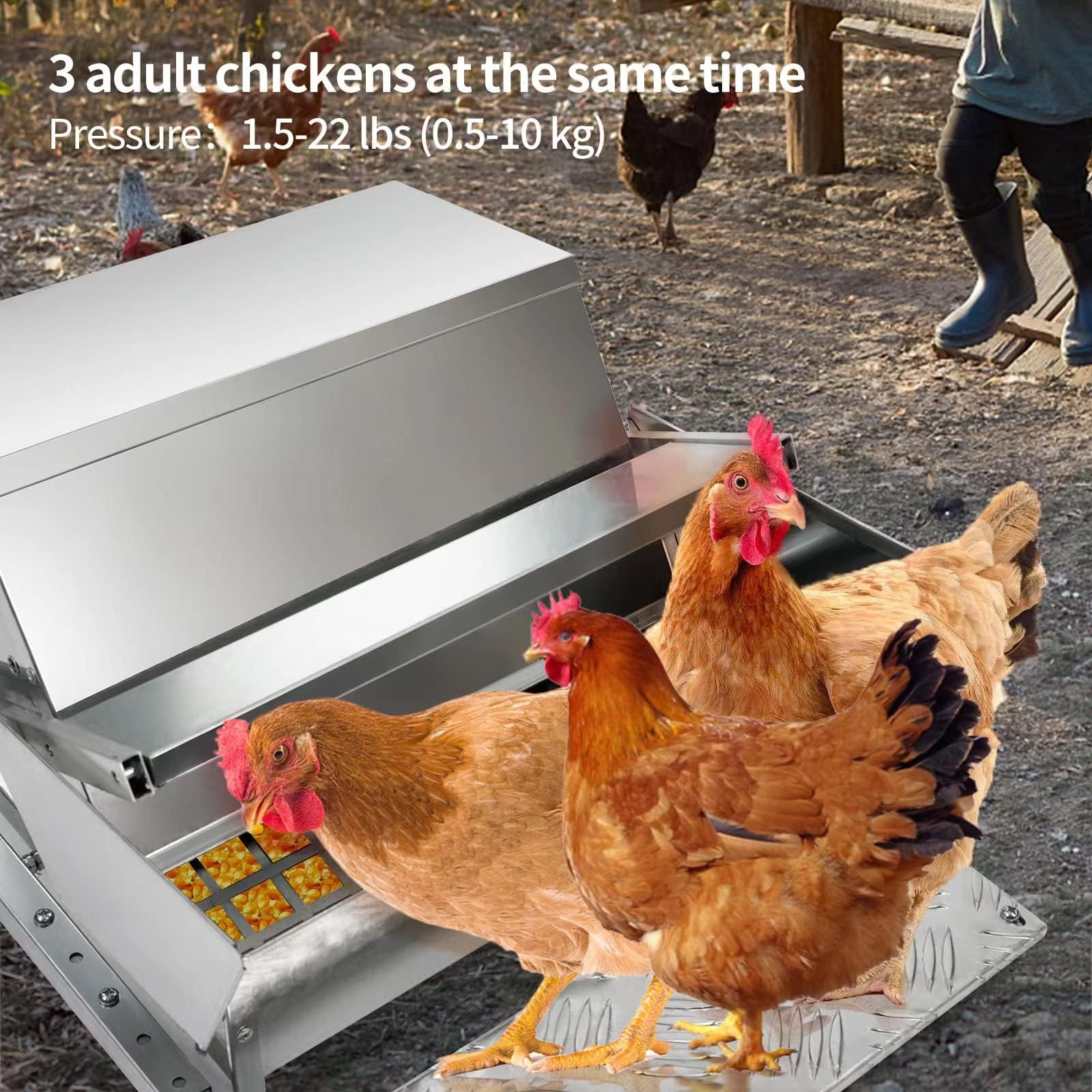 RYFT Comedero automático de pollo de gran capacidad de acero galvanizado con cubierta resistente a la intemperie, para pollos, faisanes, gallo, patos y aves de corral