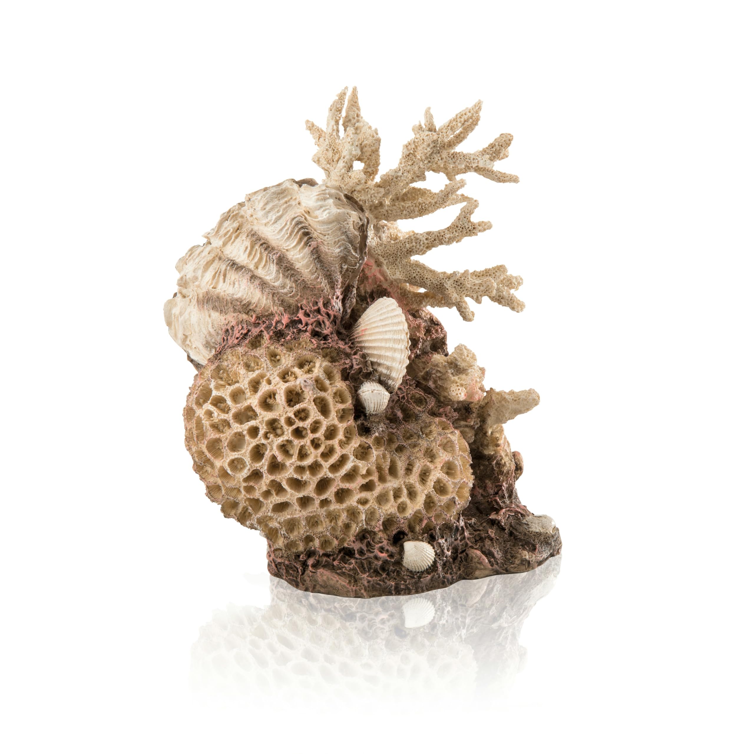 biOrb Décoration de coraux et coquillages, non teintée