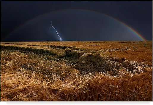 Trademark Fine Art Nicolas Schumacher Fine Art, Multicolor