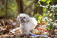 Vista 4 de Pets First Collegiate accesorios para mascotas, correa para perro, Correa para perro, L