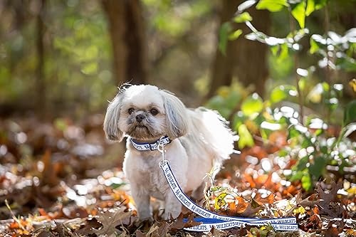 Miniatura 4 de Pets First Collegiate accesorios para mascotas, correa para perro, Correa para perro, L