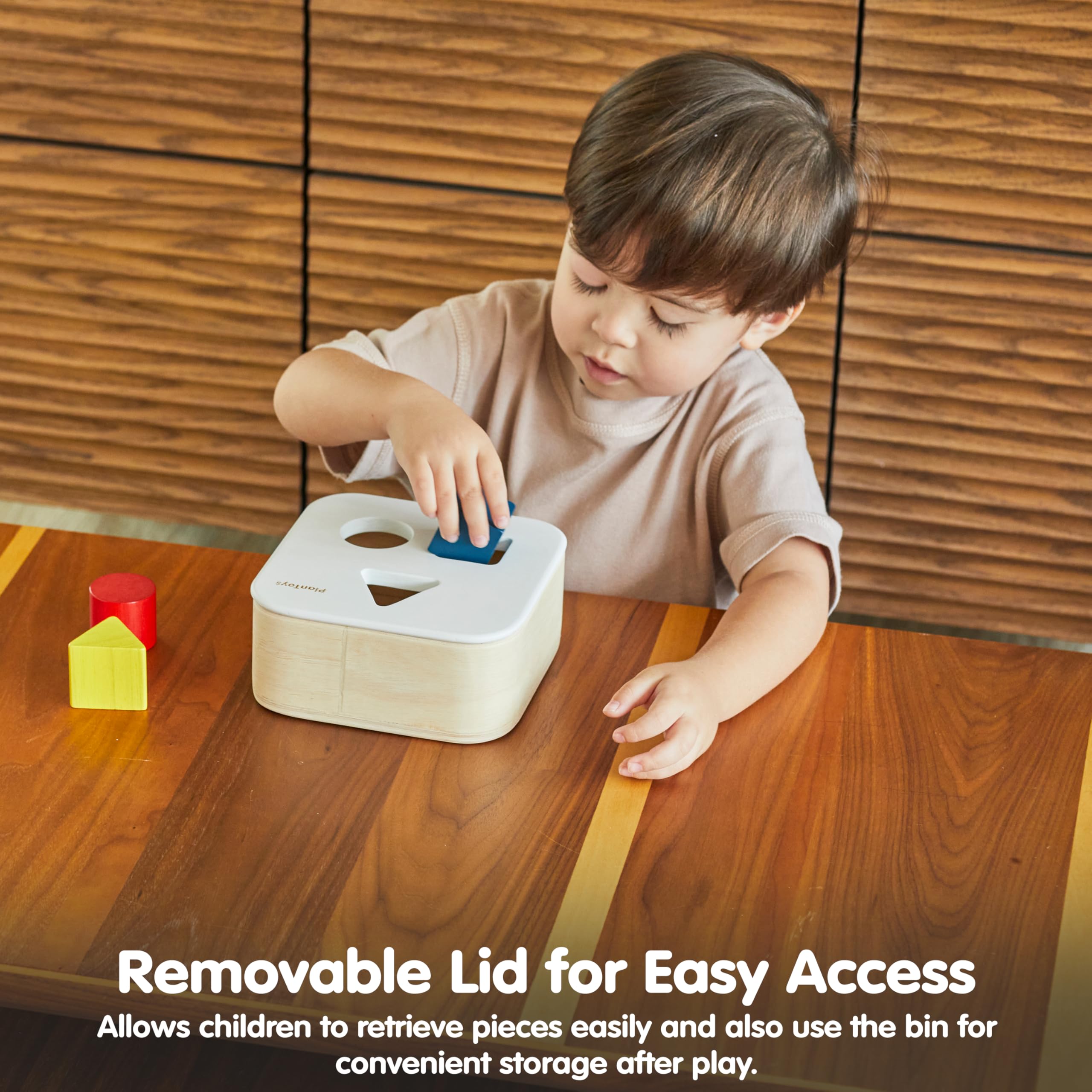 PlanToys Shape and Sort It Out Bin Giocattolo in legno Montessori in legno | Motore fine, risoluzione dei problemi e attività di apprendimento matematico precoce | Giocattolo educativo ecologico