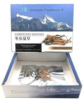 【新品・未開封】冬虫夏草 お値下げ 新品未開封