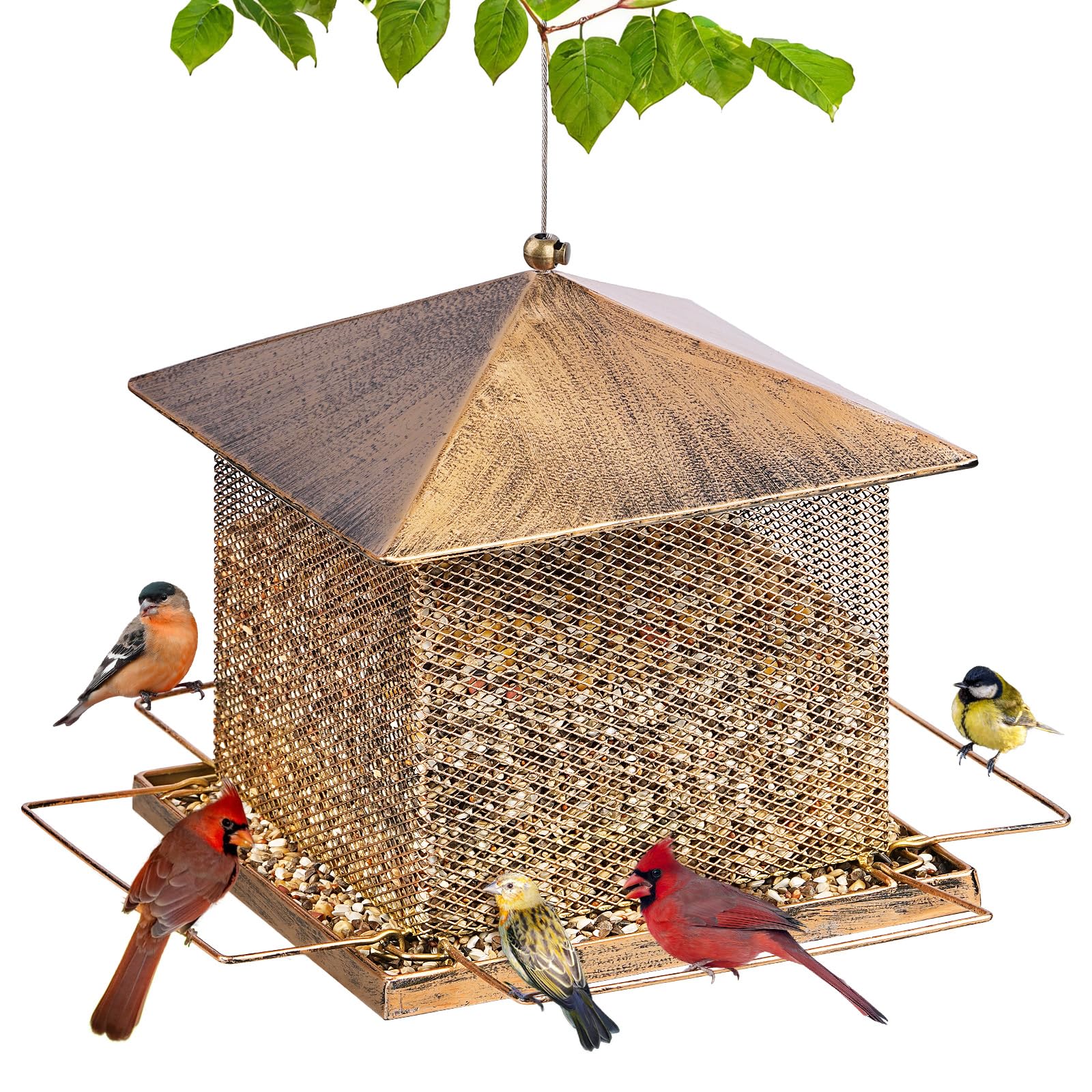 IWNTWY Heavy Duty Metal Bird Feeder