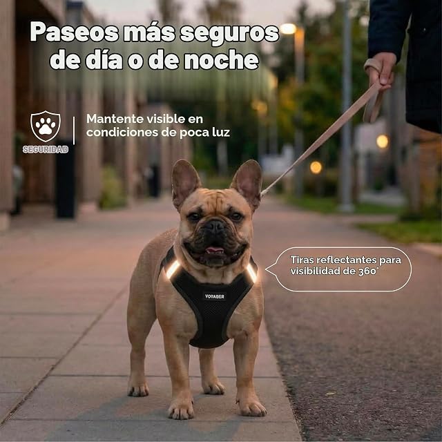 Foto 4 de 8 de Voyager Step-in Air - Arnés de Malla para Cualquier Tiempo, Reflectante, para Perros pequeños/medianos…