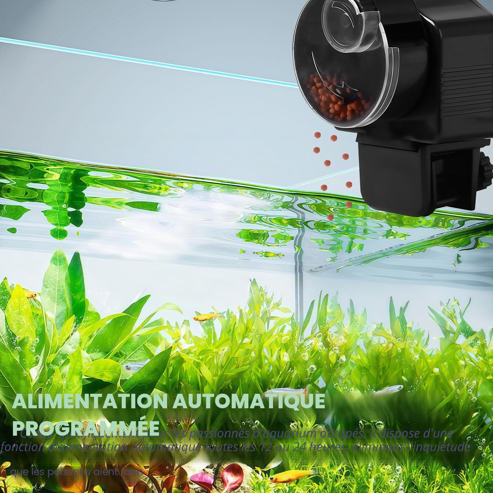 Distributeur automatique de nourriture pour poissons : 60 ml, pour granulés et bandes