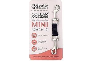 Collar Companion: The Safety Backup Clip for Dog Leash