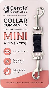 Gentle Creatures Collar Companion - Mini - Small Dogs Collar Backup Clip for Dog Harness, Prong, Pinch Collars, Gentle Lead -