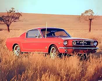 1965 Fordマスタング　アート　イエローコーナー 1965 Fordマスタング アート イエローコーナー 1965 Ford