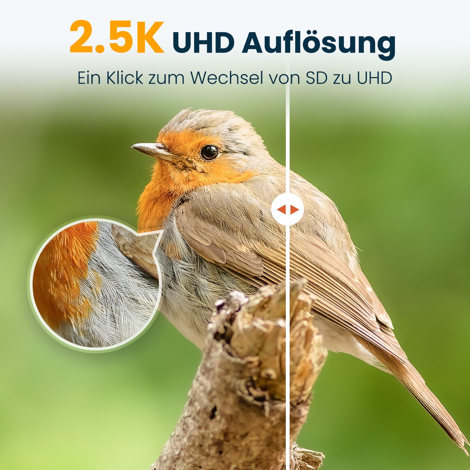 Vogelhaus mit Kamera, 2,5K UHD, solarbetrieben, präzise KI-Erkennung, sofortige Benachrichtigungen, wasserdicht nach IP66 für den Außenbereich, grün