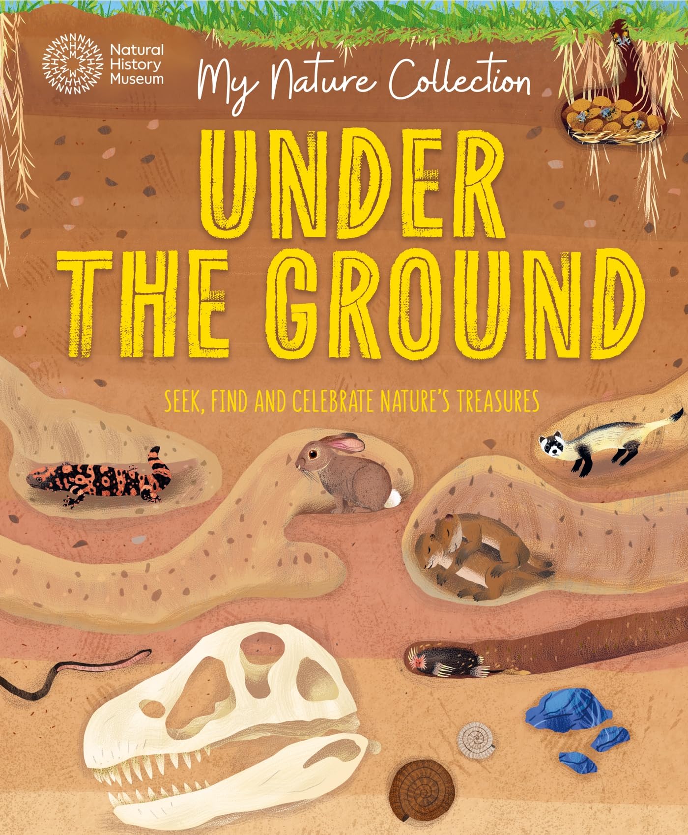 Under the Ground: Seek, find and celebrate nature's treasures with the Natural History Museum (My Nature Collection)