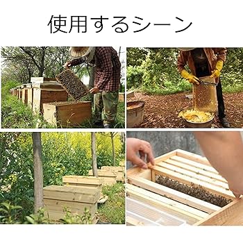 ミツバチ 養蜂 蜜蜂 巣箱 教本 DVD セット Amazon.co.jp: ミツバチ 巣箱 養蜂箱養蜂器具蜂の巣の完全な