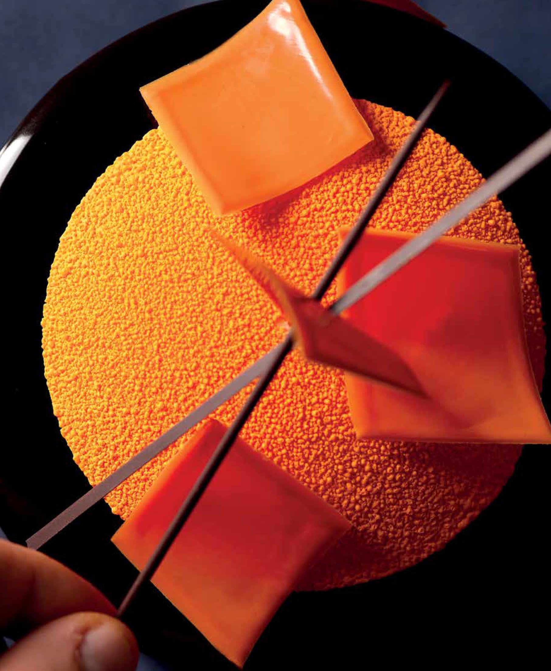 Torte moderne. Al cioccolato, alla frutta, alcoliche, ai formaggi freschi, classiche e innovative. Ediz. illustrata