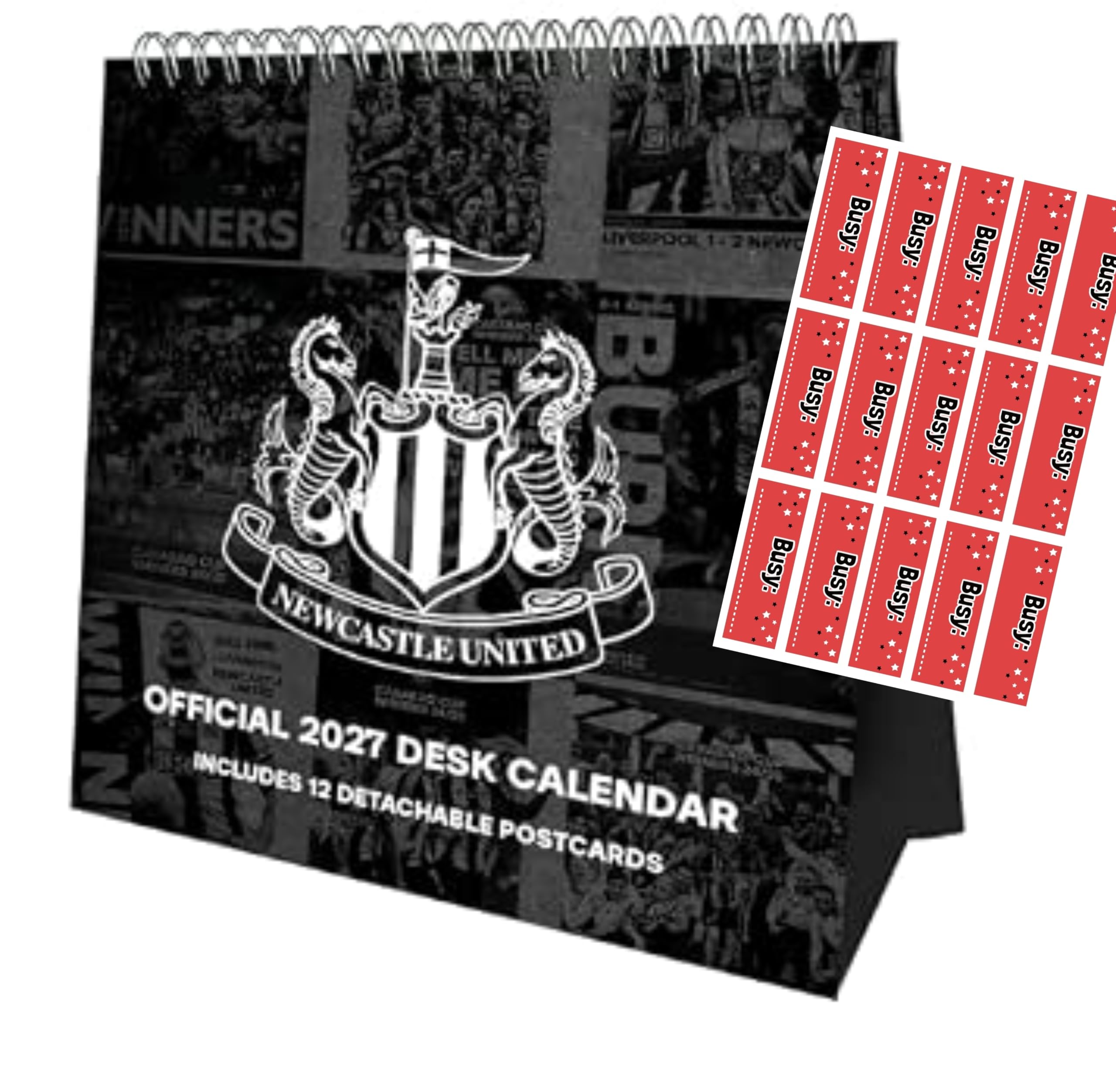 Newcastle United Calendar 2027 Desk Easel Flip Calendar with FREE Organising Stickers Included