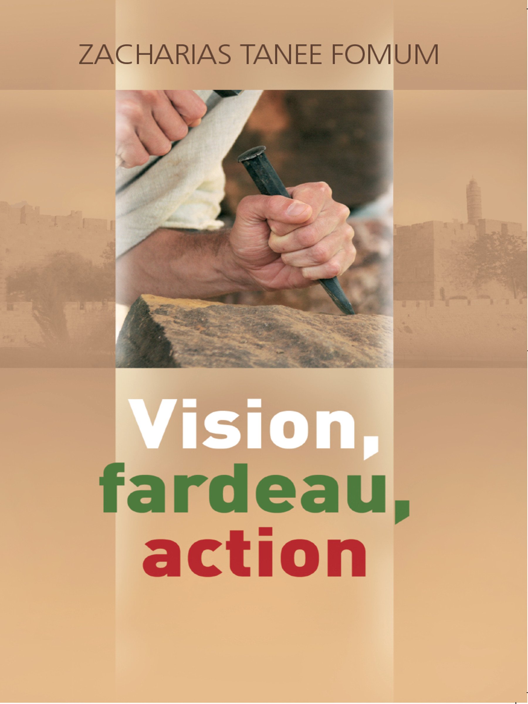 Vision, Fardeau, Action: La Strategie Pour La Direction Spirituelle (Diriger le peuple de Dieu t. 1) (French Edition)