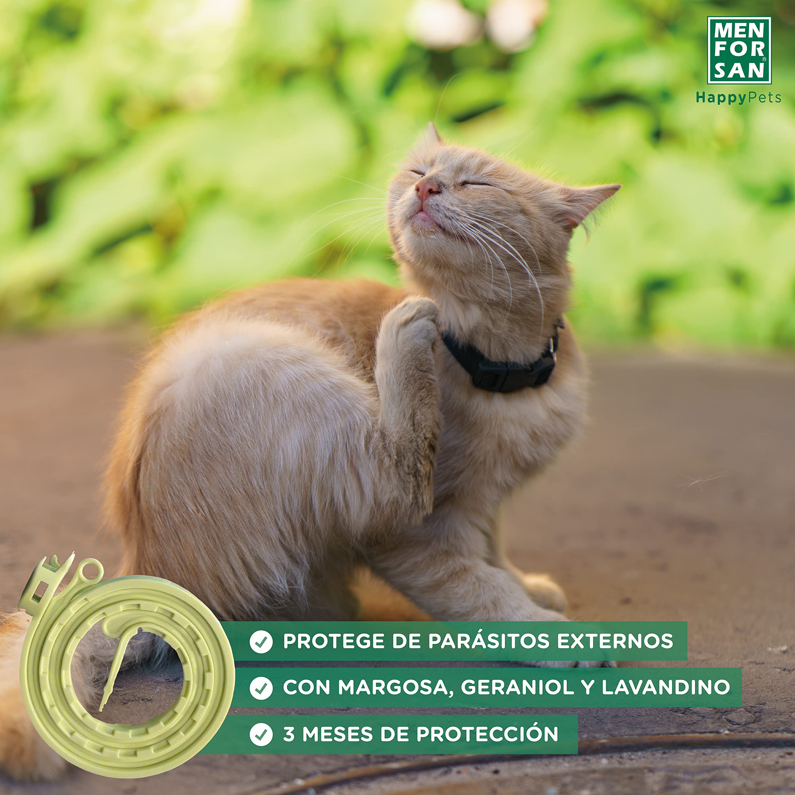 MENFORSAN Pack con 4 Collares Anti-Insectos Gatos, con Margosa, Geraniol y Lavandino, Bolsa autocierre