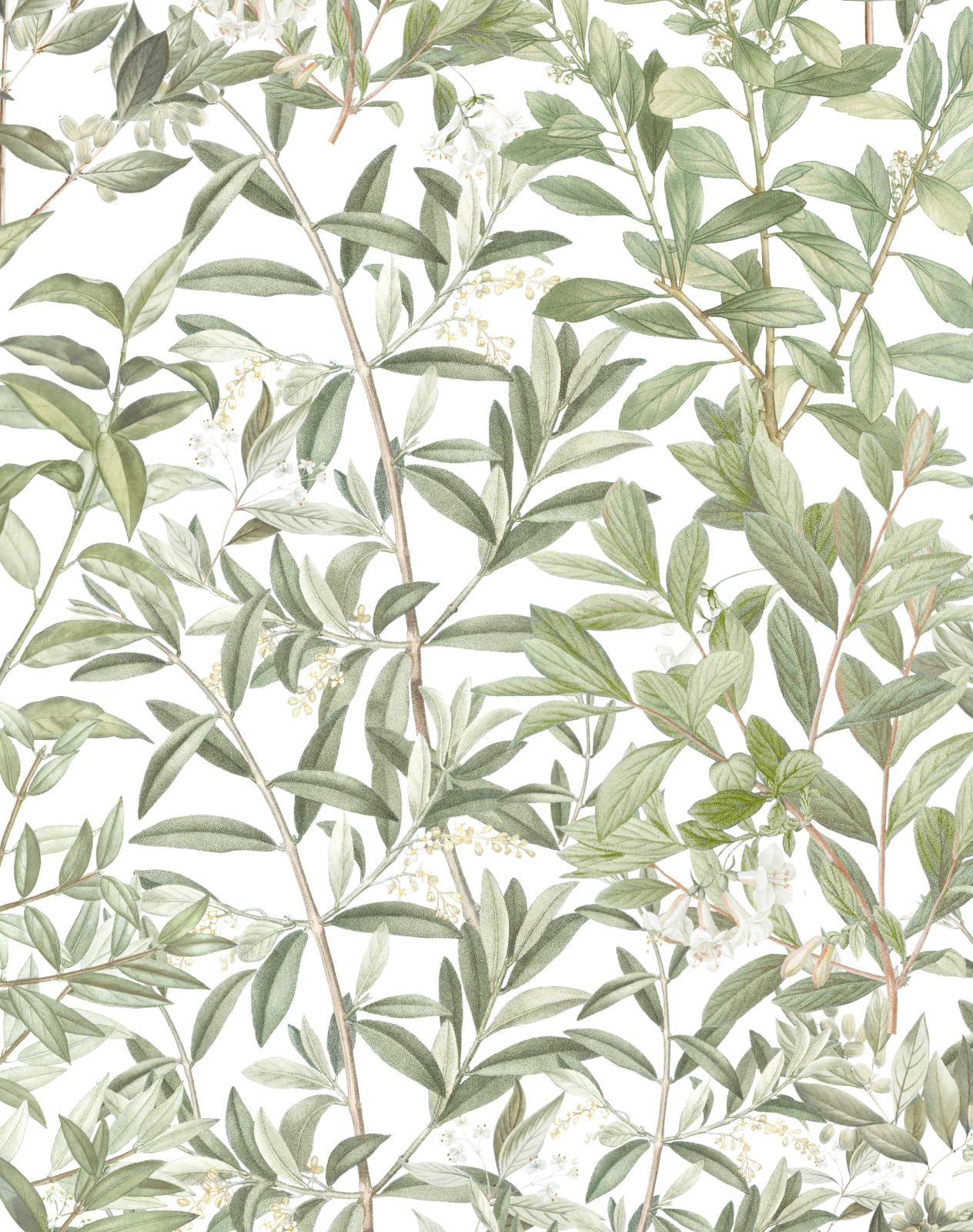 Baolanzw Botanical Wallpaper Peel and Stick Wallpaper Wildflowers Wall Paper Sprigs Green Farm Wallpapers Contact Paper for Cabinets Stick on Wall