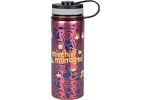 Harry Potter Stainless Steel Water Bottle, 550ml - Mischief Managed