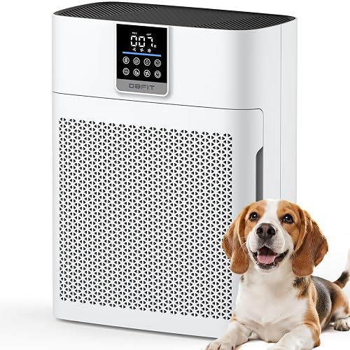 DBFIT HEPA Air Purifier AP2410