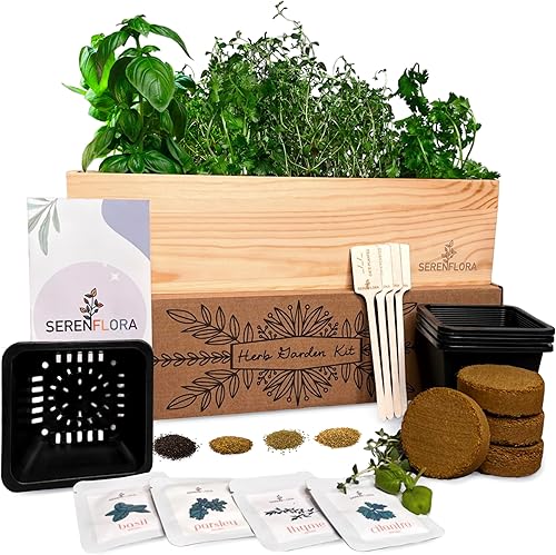 Kit de jardín de hierbas para interiores, 4 semillas sin OMG con macetas reutilizables, maceta Caja de plantación de madera para alféizar de