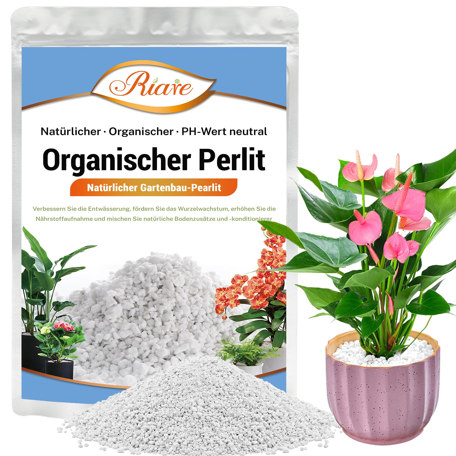 Riare Perlite für Pflanzen 2L Natürliches Perlit für Pflanzen Erden- und Substratverbesserung Verbessert Feuchtigkeitsspeicher Substrat für Garten & Zimmerpflanzen (2L)