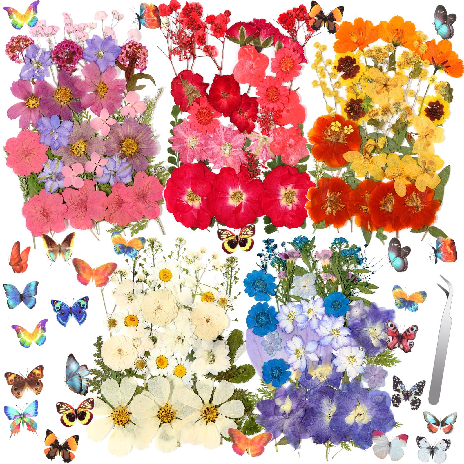Cruzix Pressed Flowers