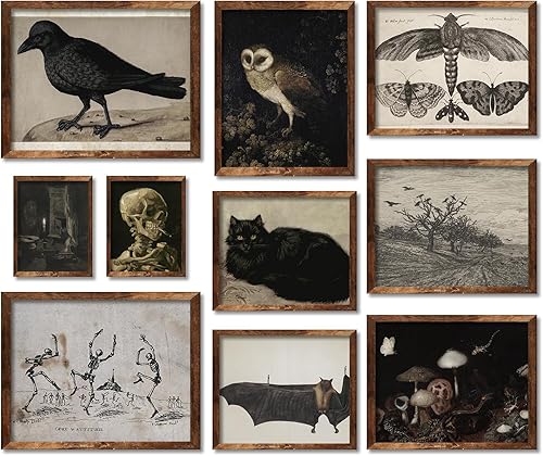 Whaline 10 piezas de decoración de pared vintage de esqueleto, gato negro oscuro Academia, impresiones artísticas de pared Whimsigothic para