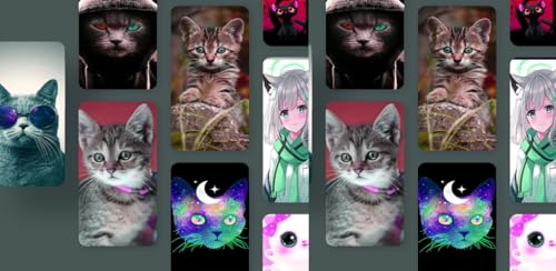 3D HD cats wallpapers