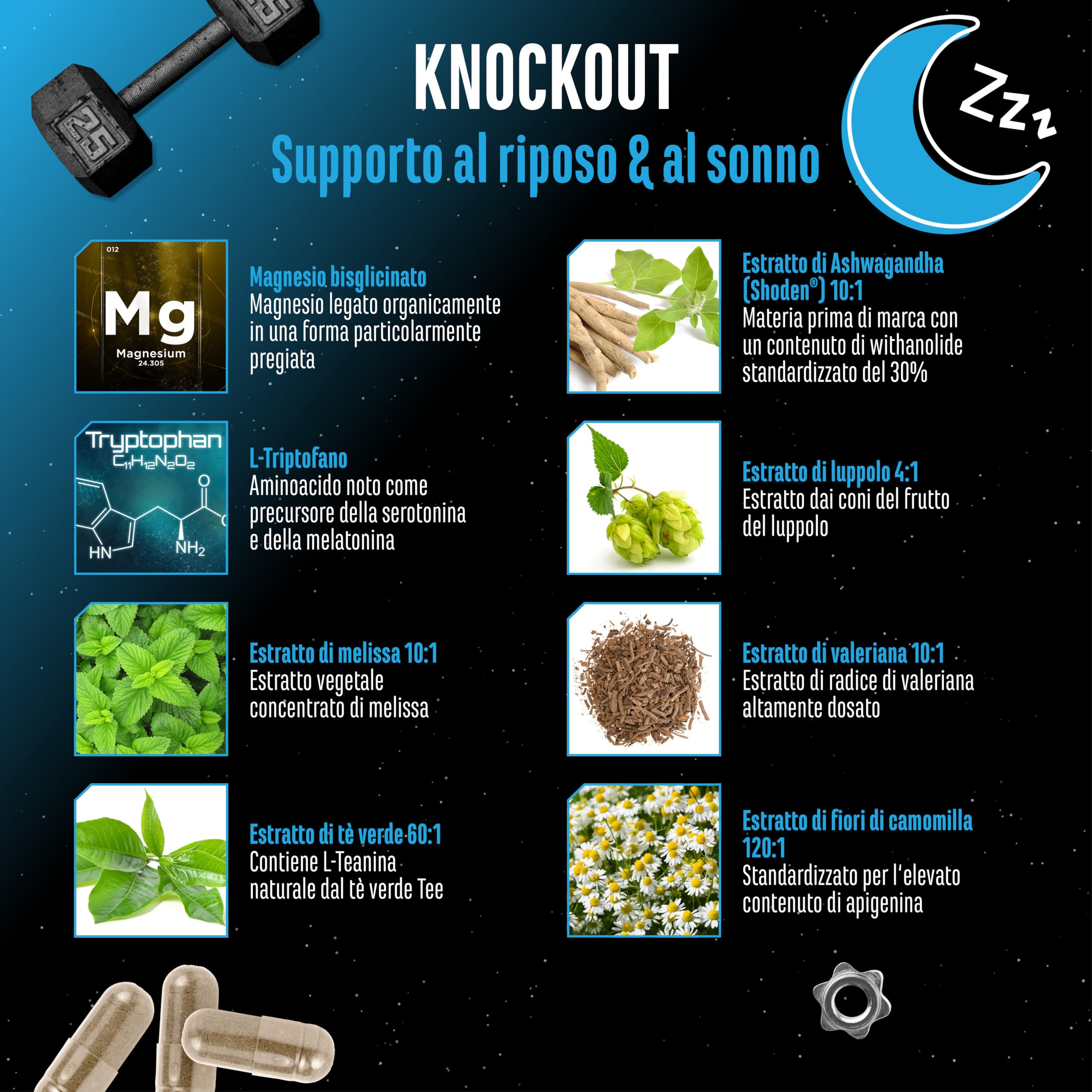 Knockout - Supporto per il sonno e il recupero - 120 capsule con estratto di Ashwagandha Shoden®, magnesio, L-triptofano, L-teanina naturale da tè verde, valeriana - Vegan